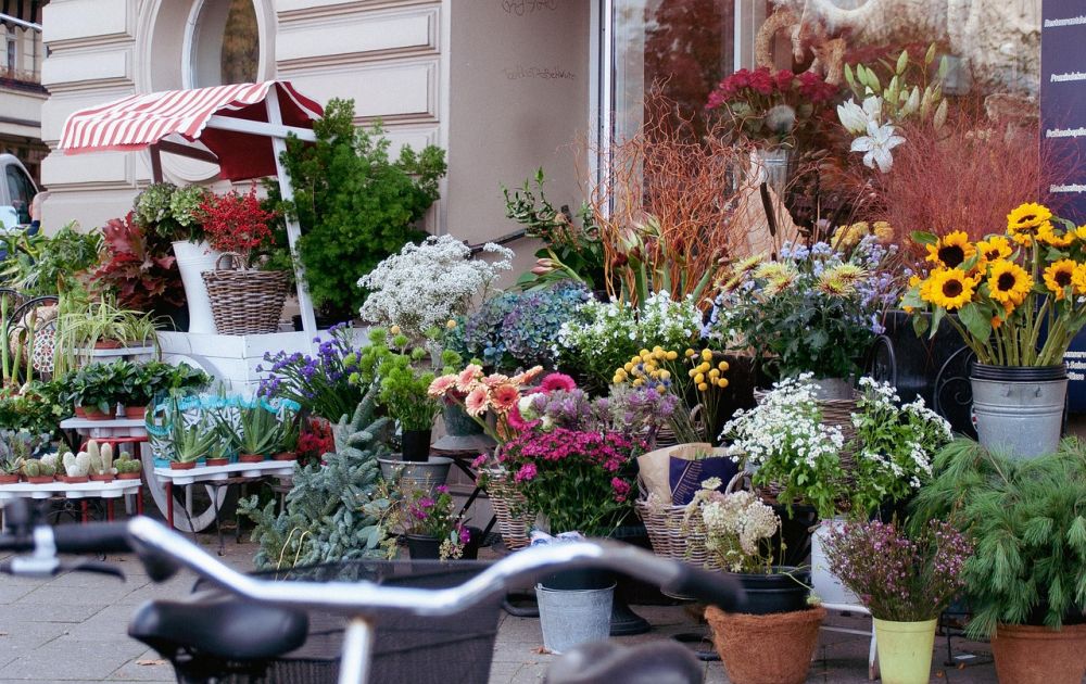 Blomsterbutikk i Oslo: Slik finner du kvalitet, service og gode opplevelser